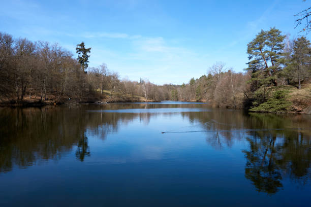istock small lake in the forest with sunshine and under blue sky 1310386707
