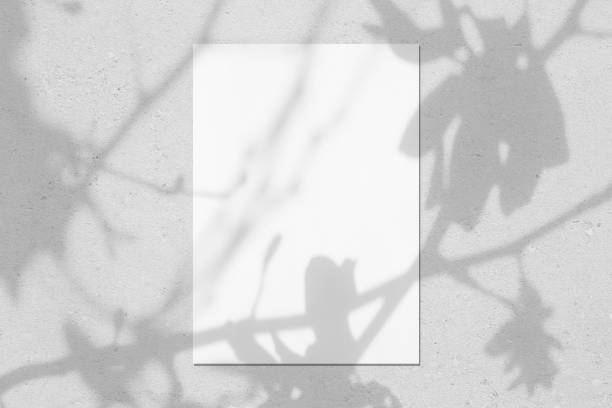istock Empty white vertical rectangle poster mockup with leaves and flowers shadows 1310389505