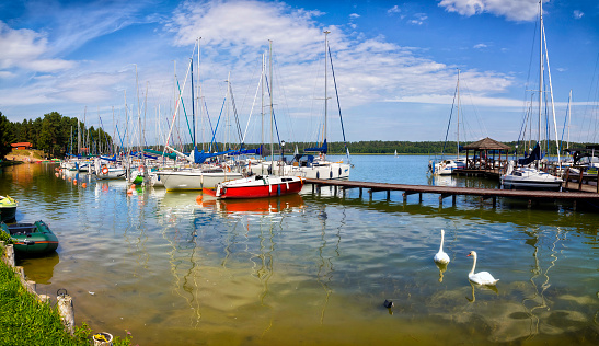 Briere marsh and traditional boat,  Brittany in France- Loire-Atlantic, Pays de la Loire