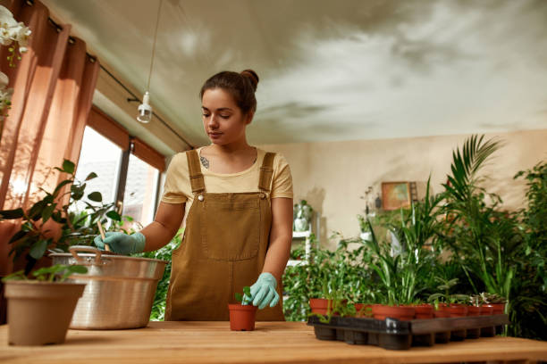 istock Caring female gardener in protective gloves using small shovel for pouring dirt or soil while transplanting plant into new pot 1310390530
