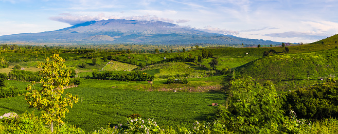 Vista panorámica del volcán Tambora y campo de pastos, Indonesia photo