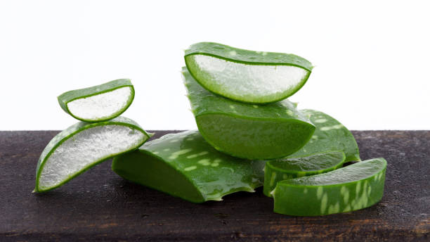 istock Aloe vera fresh wet slices on dark cutting board 1310393294