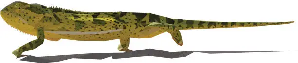 Vector illustration of Low Poly Green Chameleon isolated with a shadow