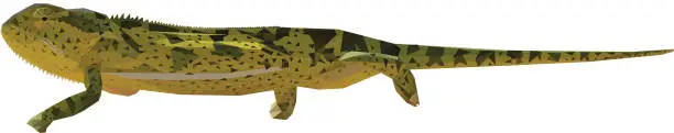 Vector illustration of Low Poly Green Chameleon isolated