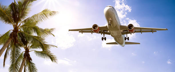 istock Plane lands in vacation paradise 1310394750
