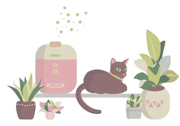 Vector illustration of Cat lies on the tabel near humidifier and house plants Vector cartoon illustration