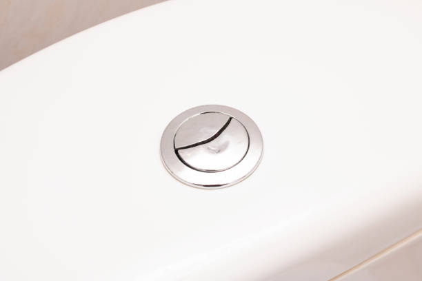 istock Flush button on a white toilet closeup 1310396724