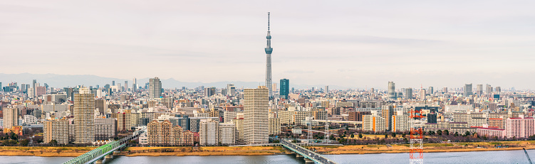 Aerial photograph over the banks of the Arakawa River and the crowded high-rise cityscape of central Tokyo to the iconic spire of the Tokyo Skytree, Japan.