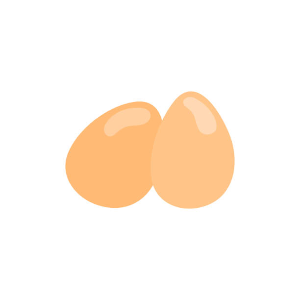 흰색 배경에 달걀 아이콘. 벡터 일러스트레이션 - white background brown animal egg ellipse stock illustrations