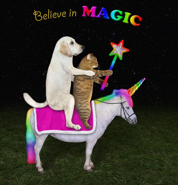 istock Dog and cat ride unicorn 2 1310400773