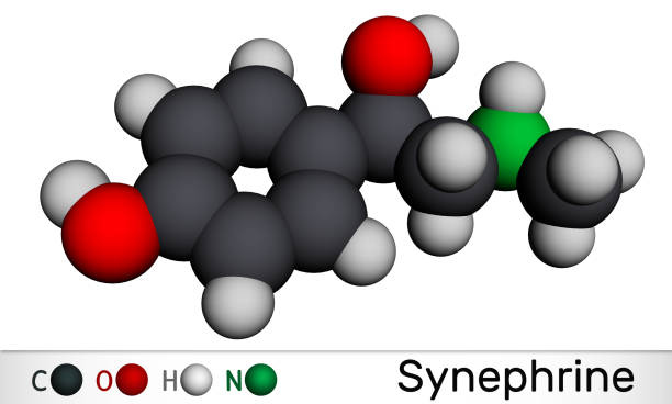 синефрин, молекула р-синефрина. это фенэтиламин алкалоид. молекулярная модель. 3d рендеринг. - phenethylamine stock illustrations