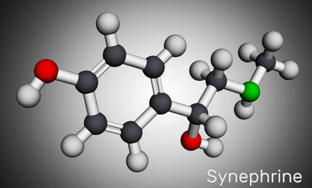 illustrazioni stock, clip art, cartoni animati e icone di tendenza di sinefrina, molecola di p-sinerefrina. è fenetilammina alcaloide. modello molecolare. rendering 3d. - phenethylamine