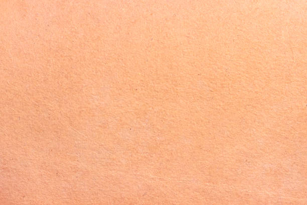 istock The surface of an old worn cardboard sheet. 1310402998