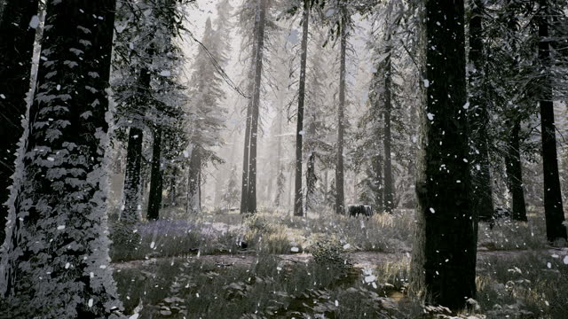 3D visualization of the time lapse change of the year from summer to winter in the forest.Four Seasons