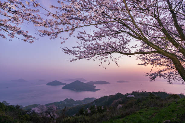 美しい桜で有名な山下の画、香川県三代市の瀬戸内海の写真 - 香川 ストックフォトと画像