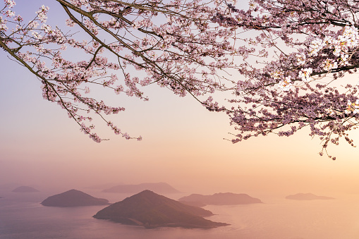 picture of mt.shiude, famous for its beautiful cherry blossoms and the Seto Inland Sea in Mitoyo City, Kagawa Prefecture