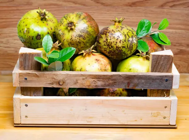 Pomegranate fruits in wooden box on wooden board. Yellow pomegranate fruits