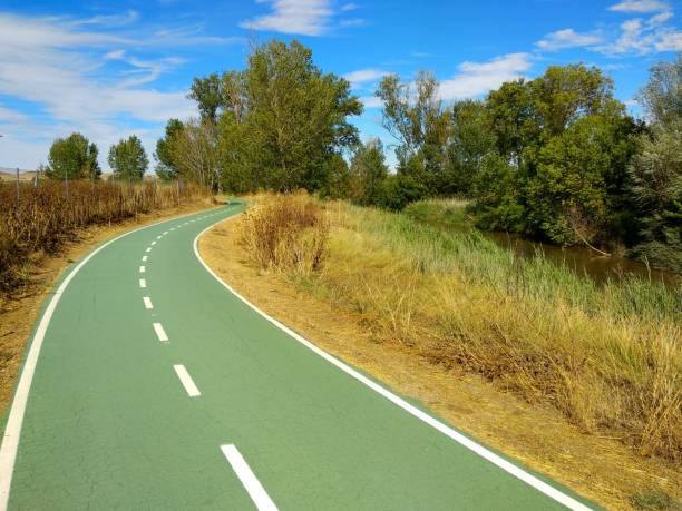 istock Zamora greenpath next to Douro River, Zamora, Spain 1310406784