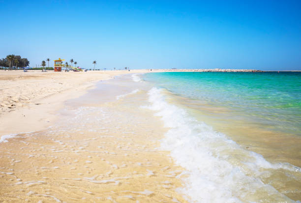 istock Palm trees on Al Mamzar beach in Dubai 1310408091