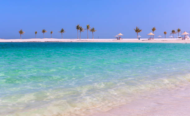 istock Palm trees on Al Mamzar beach in Dubai 1310408100