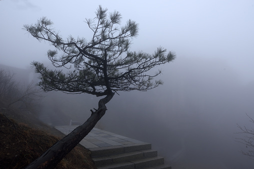 Mount Tai, a World Natural and Cultural Heritage Site, is shrouded in fog.