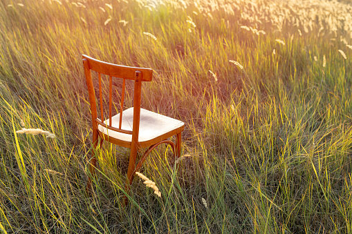 Old vintage wooden chair on a meadow at sunset. Loneliness, emptiness, tranquility concept. Copy space