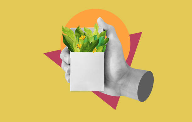 istock Digital collage modern art. Hand holding cigarette box, with leaves 1310410279