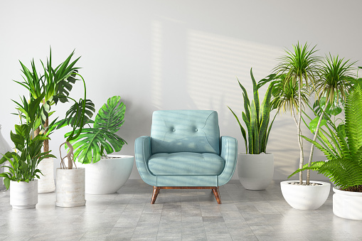 Armchair with Green Plants Flowers and Cactuses. 3d Render