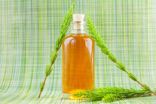 istock horsetai essential oil in  beautiful bottle on table 1310413120