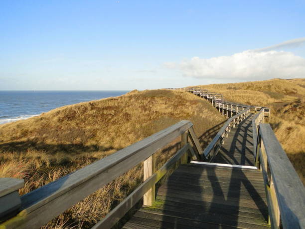 istock On the wooden path 10 1310413326