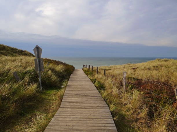 istock Wooden path to the beach 1310413336