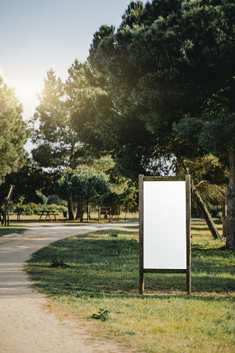 A vertical mockup of a map placeholder in a public park; blank advertising billboard near a footpath; a white empty template of an outdoor info poster in a rural area surrounded by coniferous trees