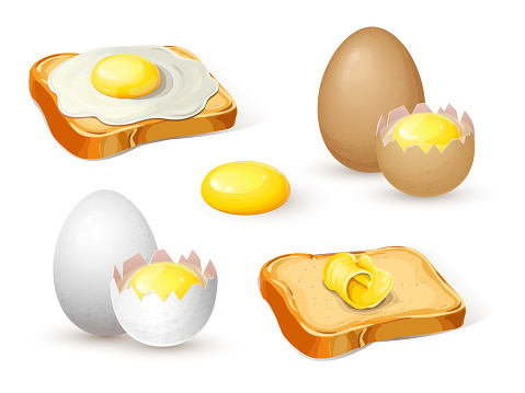 fried eggs on bread, toast with butter, whole hard boiled egg and half with soft boiled yolk for breakfast isolated on white. healthy nutrition realistic illustration. toast with sunny side up eggs