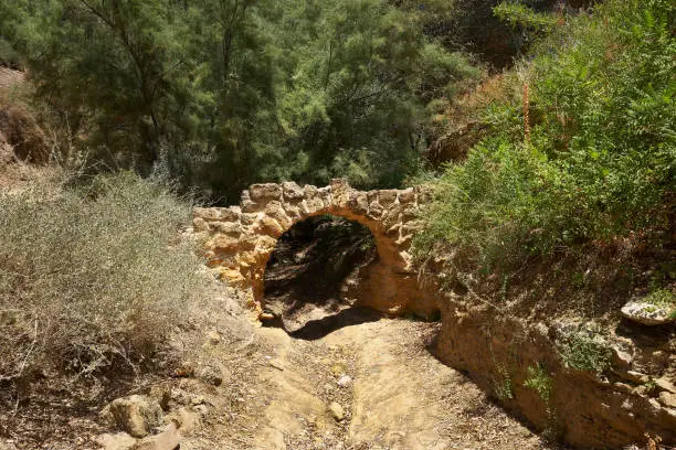 Photo of Kolymbethra Gardens, or Jardino della Kolymbethra. magnificent green garden in the heart of the Valley of Temples, Sicily, Italy. Stone arch over footpath and garden wall