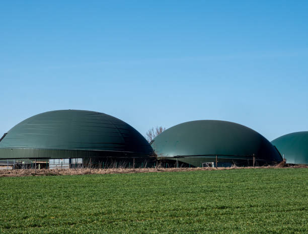 istock Biogas plant in Germany with blue sky 1310418480
