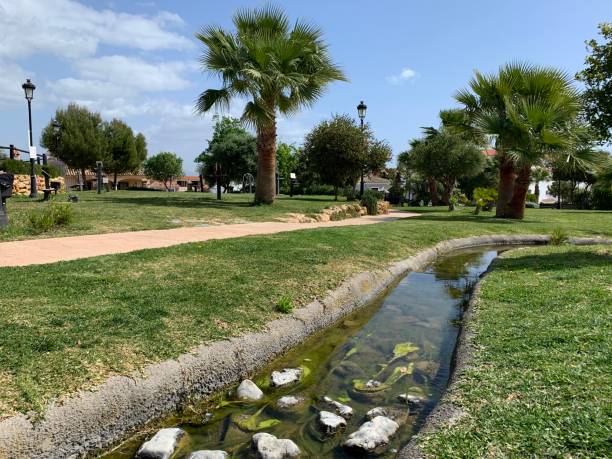 istock Park with stream and frogs in Sabinillas 1310418704