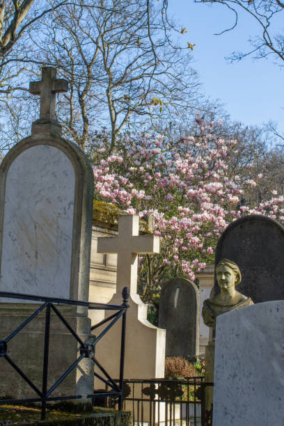 istock ancient tombstones, statue and religious symbols with springtime magnolia tree 1310418837