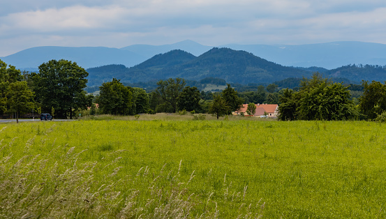 Big green fields of wheat trees and bushes in Kaczawskie mountains at cloudy day