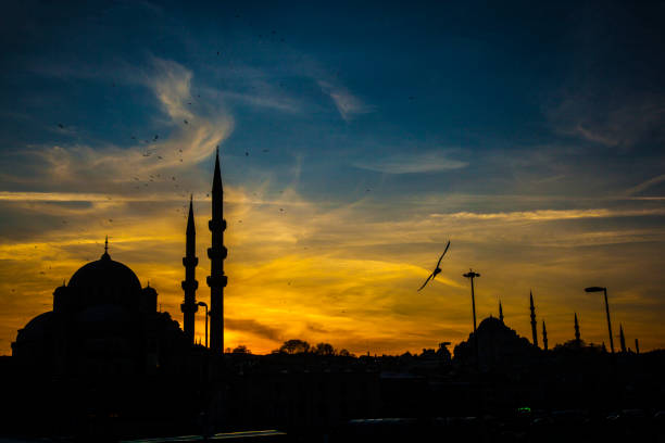 istock Sunset Time in the Istanbul Turkey 1310422761
