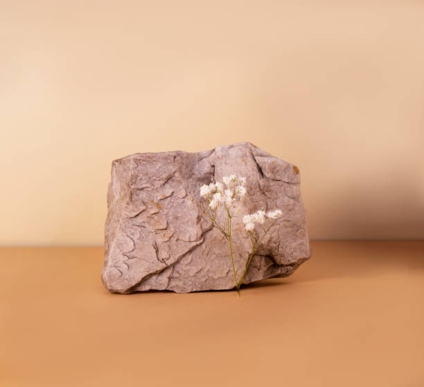 istock Creative stone podium for cosmetics or products on brown beige background. 1310422788