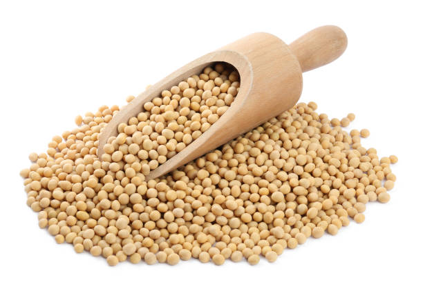 istock Soya beans with wooden scoop isolated on white 1310423087
