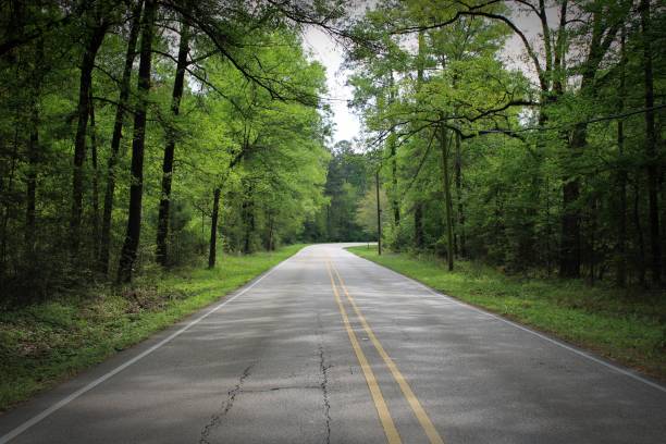 istock cracked country road through the forest 1310425234