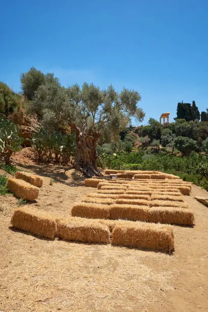 Photo of Kolymbethra Gardens, or Jardino della Kolymbethra. magnificent green garden in the heart of the Valley of Temples, Sicily, Italy. Stacks of hay for outdoor concert. Greek columns on the hill