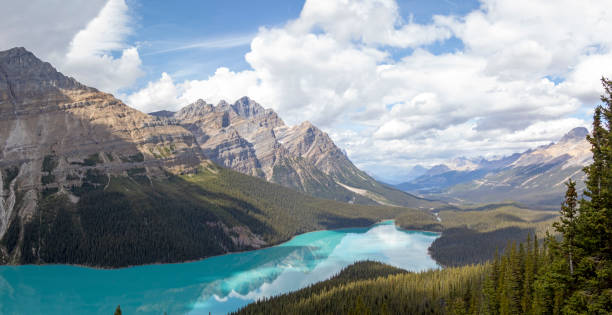 istock Peyto Lake Panorama 1310426416