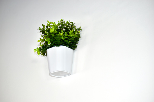 White decorative pots with greenery on a white wall