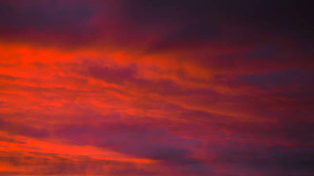 istock Glowing sky in the late evening 1310430116
