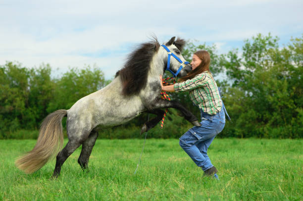 un animal agresivo está atacando y mordiendo a una joven en su cuello al aire libre, vista lateral. la entrenadora caucásica me protege de su caballo gris enojado. - halter fotografías e imágenes de stock