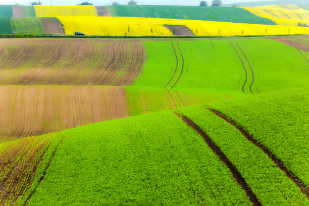 istock Moravian Green Fields Brno Czech Republic 1310433991
