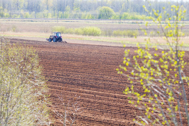 the tractor plows the field against the background of the spring landscape