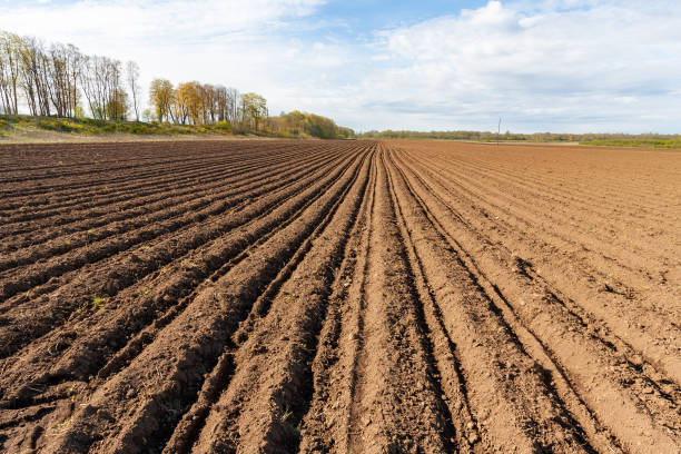 istock a plowed field on a sunny spring morning 1310434241